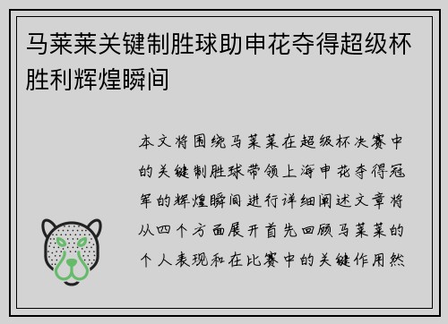 马莱莱关键制胜球助申花夺得超级杯胜利辉煌瞬间